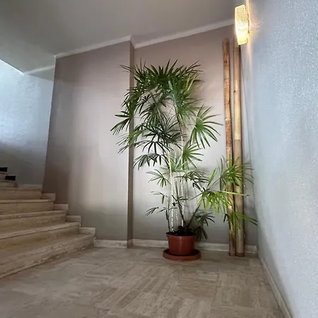 Apartment Premium Sea Front Le Lavandou