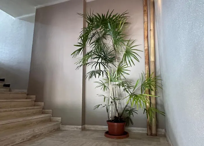 Apartment Premium Sea Front Le Lavandou